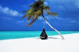 Capa de Marketing Digital Essencial: Baixe o Curso João Silva Já!
