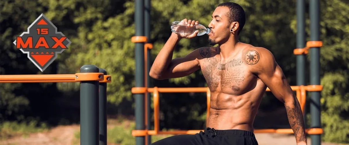 Capa: Baixar BTFIT 15 MAX – O Guia Completo de Fitness [2020]