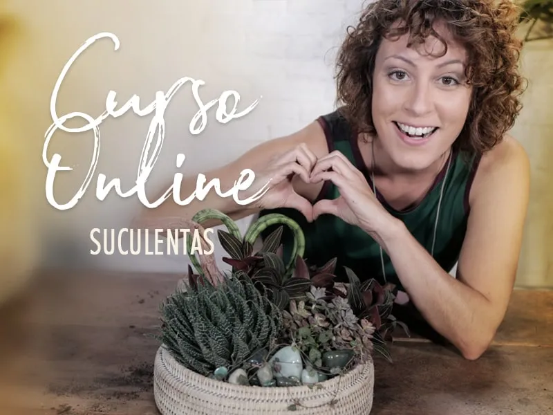 Capa: Baixar Curso Arranjos com Suculentas Carol Costa [2024]
