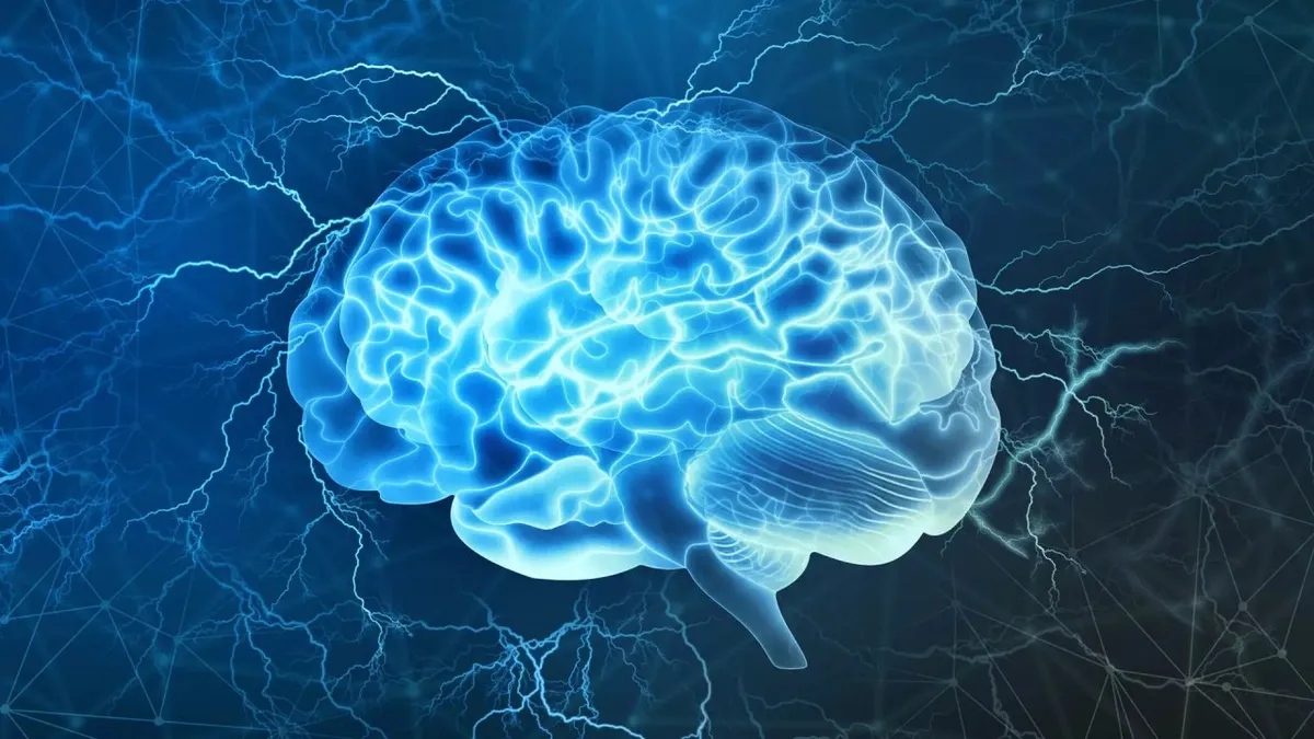 Capa: Neurociência e Comportamento (Eslen Delanogare) Download Completo