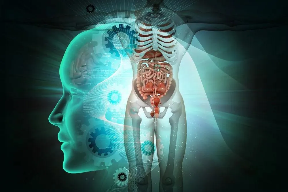 Capa: Baixar Anatomia Órgãos e Sistemas: Curso Completo Download
