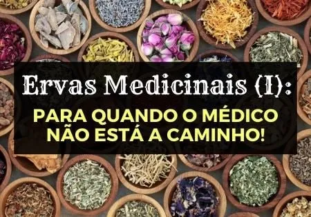 Capa: Download Curso Ervas Medicinais Afonso Lopes: Guia Essencial