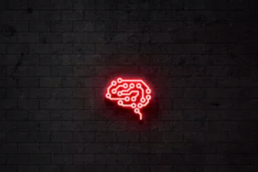 Biohack Academy Rodrigo Barbi Curso Online Alta Produtividade