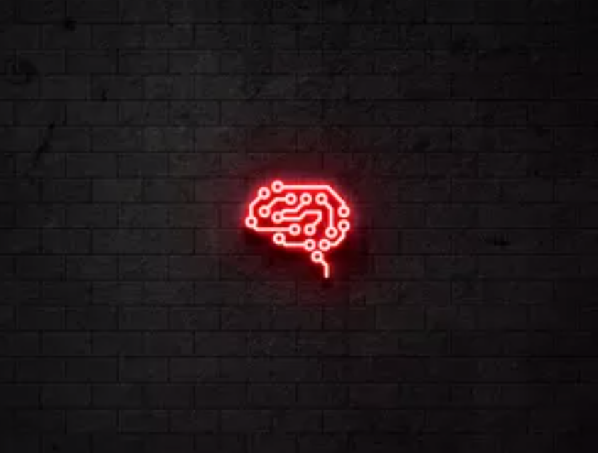 Biohack Academy Rodrigo Barbi Curso Online Alta Produtividade