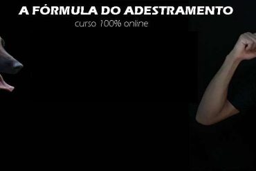 Dionatas Piloto apresentando a Fórmula do Adestramento 2.0