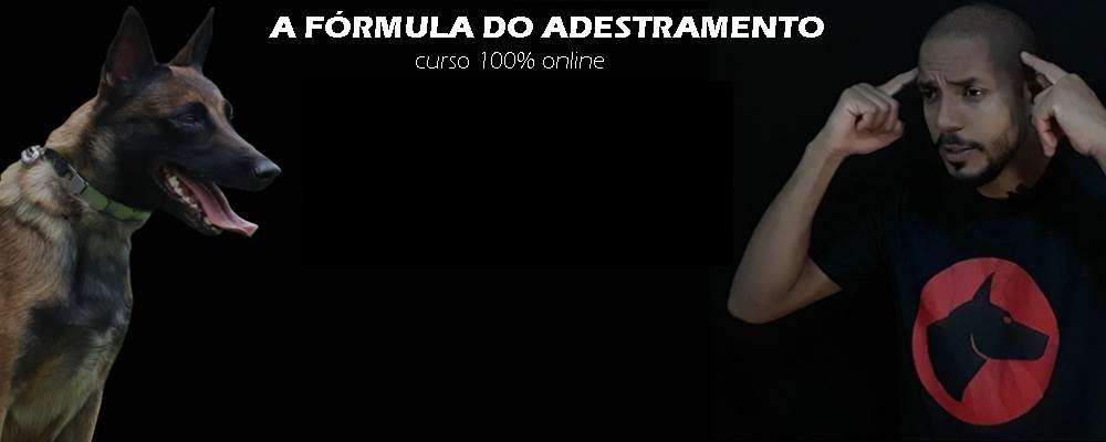Dionatas Piloto apresentando a Fórmula do Adestramento 2.0