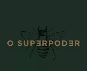 Curso Reels Super Poderoso Paulo Cuenca para baixar e turbinar o Instagram