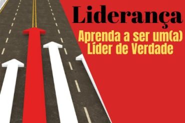 Curso Liderança de Verdade Afonso Lopes download