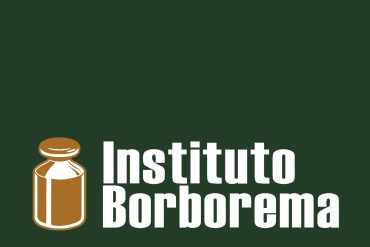 Capa da Formação Básica do Instituto Borborema com detalhes do curso e autor.