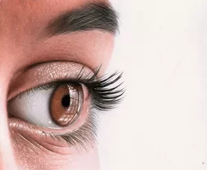 Curso Introdução ao Realismo Colorido - Cleison Magalhães Cota