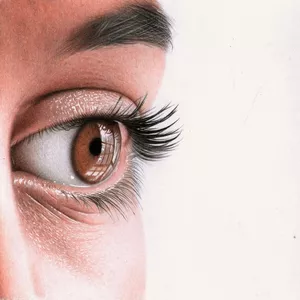 Curso Introdução ao Realismo Colorido - Cleison Magalhães Cota