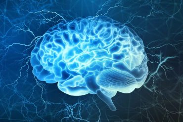 Capa do curso Neurociência e Comportamento de Eslen Delanogare