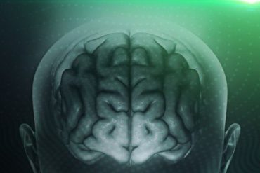 Neuro-produtividade: Ciência da Alta Performance Dr. Frederico Porto Download